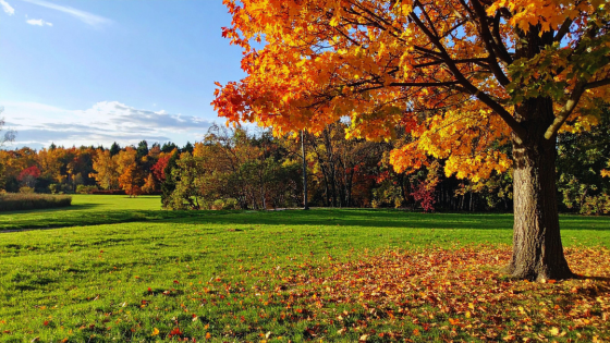 Long Island's Best Places for Cool-Weather Adventures | Howard Hanna Coach Realtors